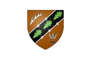Bandera de Chanteau