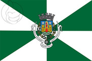 Bandera de Oporto