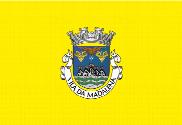 Bandera de Madalena (Açores)