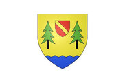 Bandera de Frasne