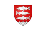 Bandera de Saint-Amand-en-Puisaye