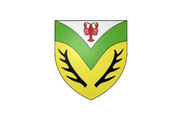 Bandera de Verlans