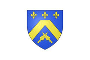 Bandera de Magnanville