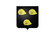 Bandera de Burzy