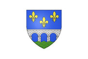 Bandera de Limay