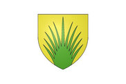 Bandera de Delle