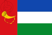 Bandera de Valle de Carranza