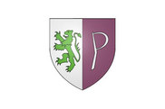 Bandera de Petitmagny