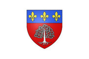 Bandera de Saint-Léger-en-Yvelines