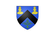 Bandera de Saint-Côme-de-Fresné