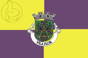 Bandera de Vila Flor