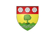Bandera de Draveil