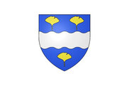 Bandera de Saintry-sur-Seine
