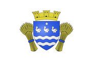 Bandera de Cerny