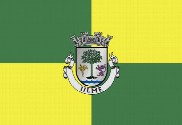 Bandera de Vila de Ulme