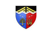 Bandera de Noiseau
