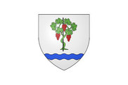 Bandera de Vignoux-sur-Barangeon