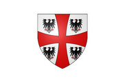 Bandera de Senonches