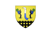 Bandera de Champhol