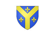 Bandera de Issoudun