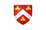 Bandera de Azay-le-Ferron