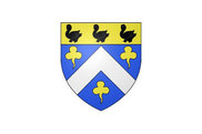 Bandera de Pontault-Combault