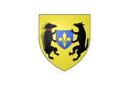 Bandera de Blois