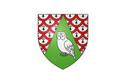 Bandera de Choue