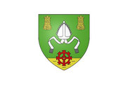 Bandera de Saint-Lubin-en-Vergonnois