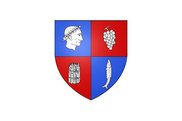 Bandera de Soings-en-Sologne