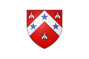 Bandera de Ruan-sur-Egvonne