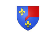Bandera de Montrichard