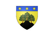 Bandera de Montrouveau
