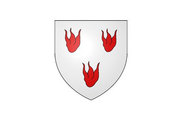 Bandera de Troo