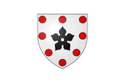 Bandera de Charsonville