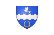 Bandera de Coulmiers