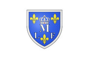 Bandera de Montargis
