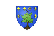 Bandera de Boiscommun