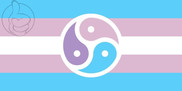 Bandera de Transgénero Bisexual BDSM Pride