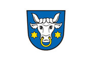 Bandera de Schenkenzell