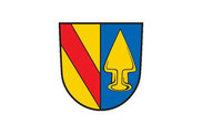 Bandera de Teningen