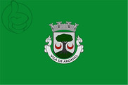 Bandera de Arganil