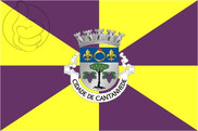 Bandera de Cantanhede (Portugal)