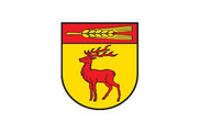Bandera de Dettenhausen