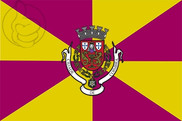 Bandera de Coimbra