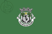 Bandera de Vila Nova de Poiares