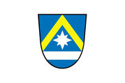 Bandera de Poing