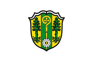 Bandera de Forstern