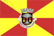 Bandera de Vendas Novas