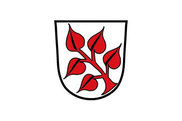 Bandera de Frauenau